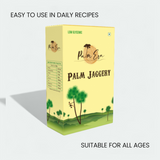 Palm Jaggery Blocks